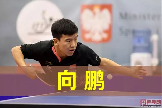 降低背身单 降低背身单